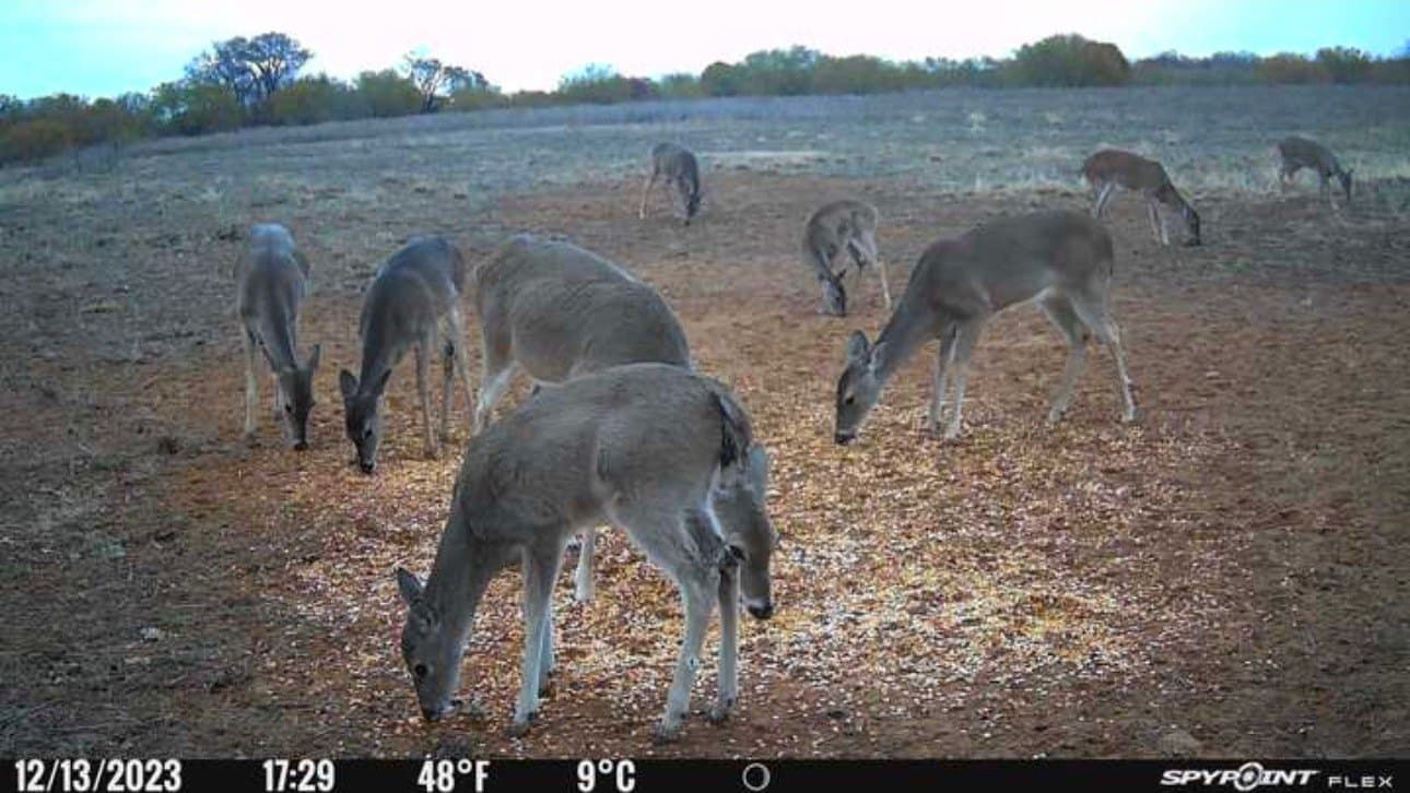 92 acres in Eastland County - photo 34