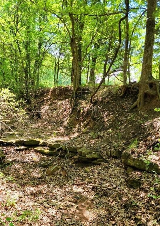 86.34 acres in Hill County gallery image 3