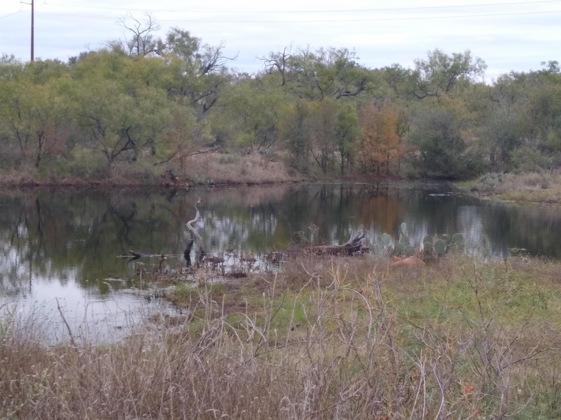 20.84 acres in Llano County - photo 21