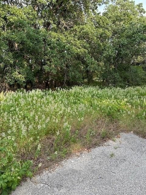 3.76 acres in Parker County gallery image 4