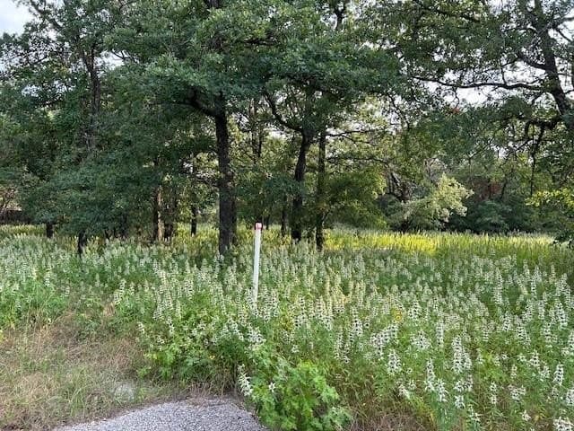 3.76 acres in Parker County gallery image 2