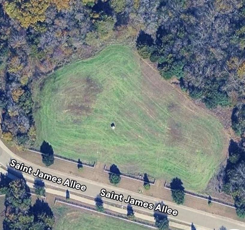 2 acres in Dallas County gallery image 2