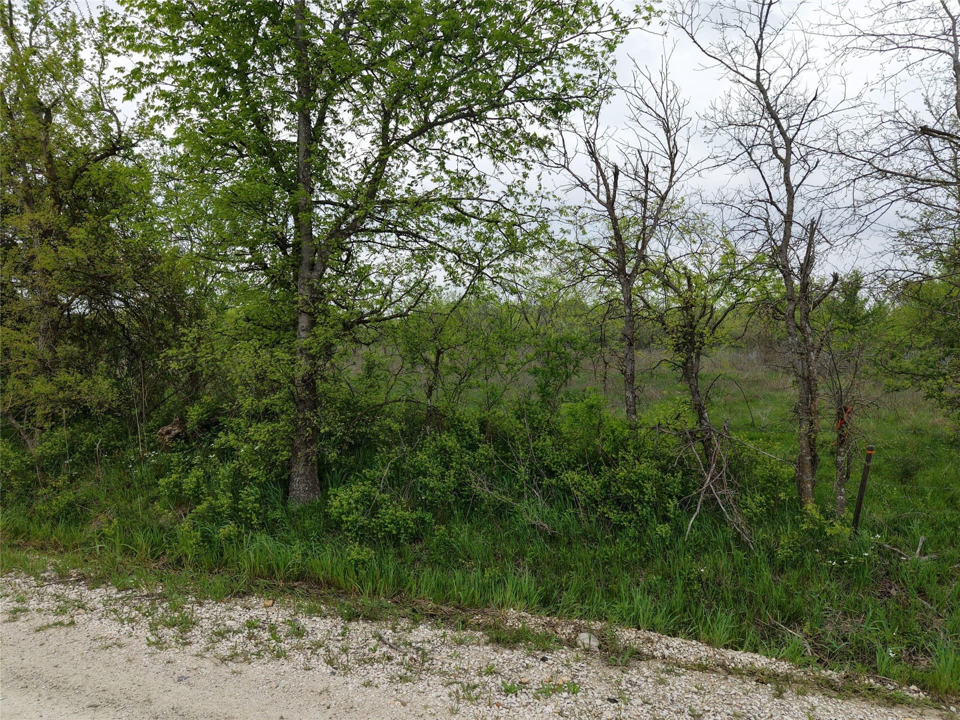 10.42 acres in Navarro County gallery image 3