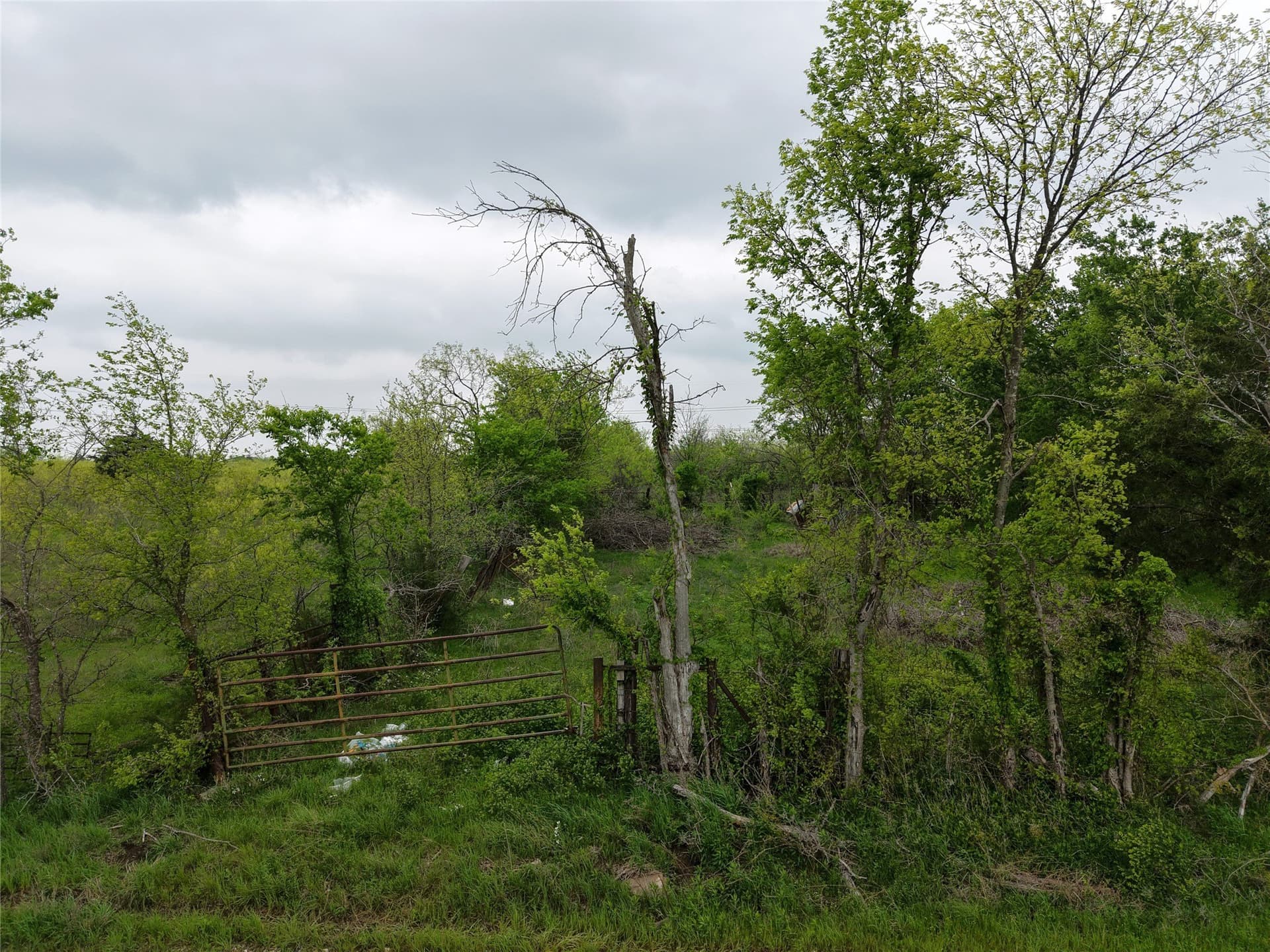 10.42 acres in Navarro County gallery image 2