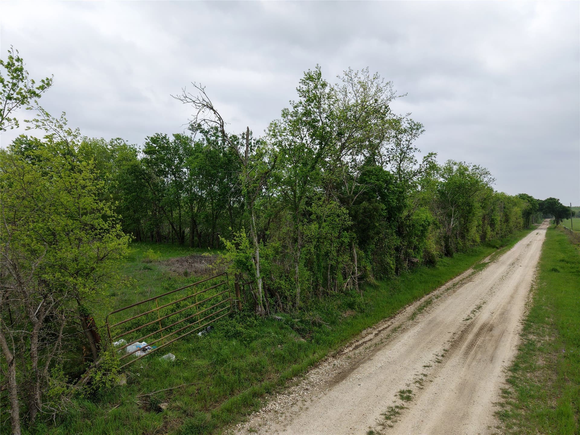 10.42 acres in Navarro County gallery image 4