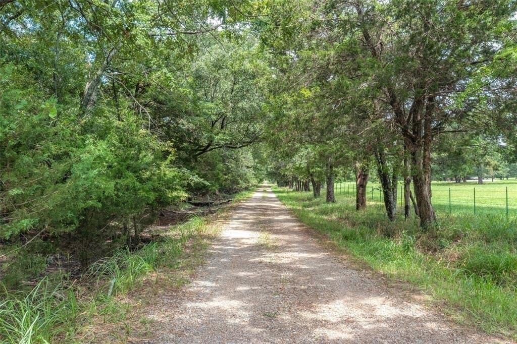788 acres in Hopkins County gallery image 2
