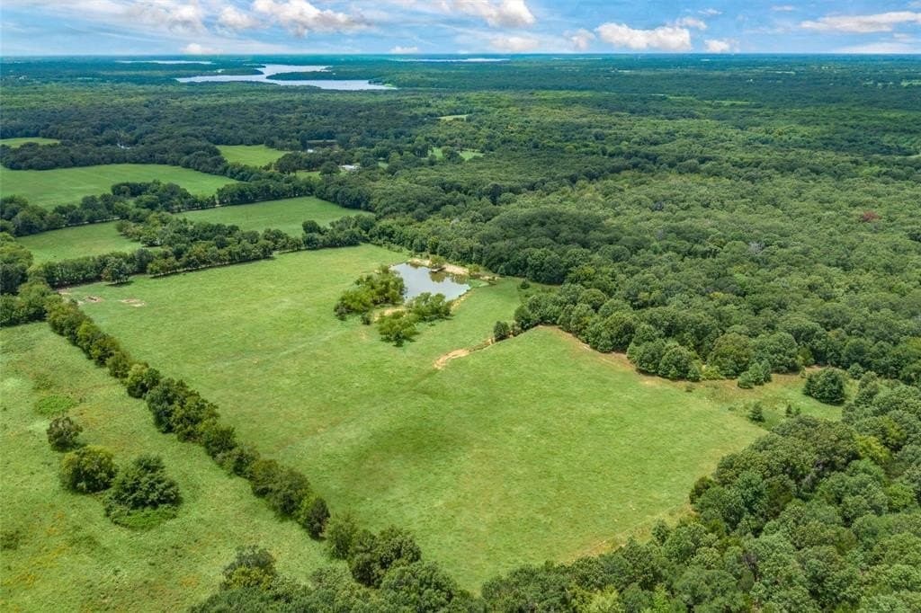 788 acres in Hopkins County gallery image 3