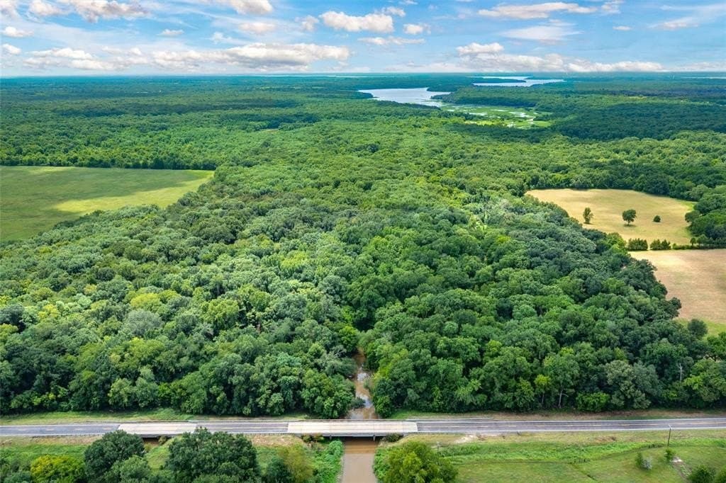 788 acres in Hopkins County gallery image 4