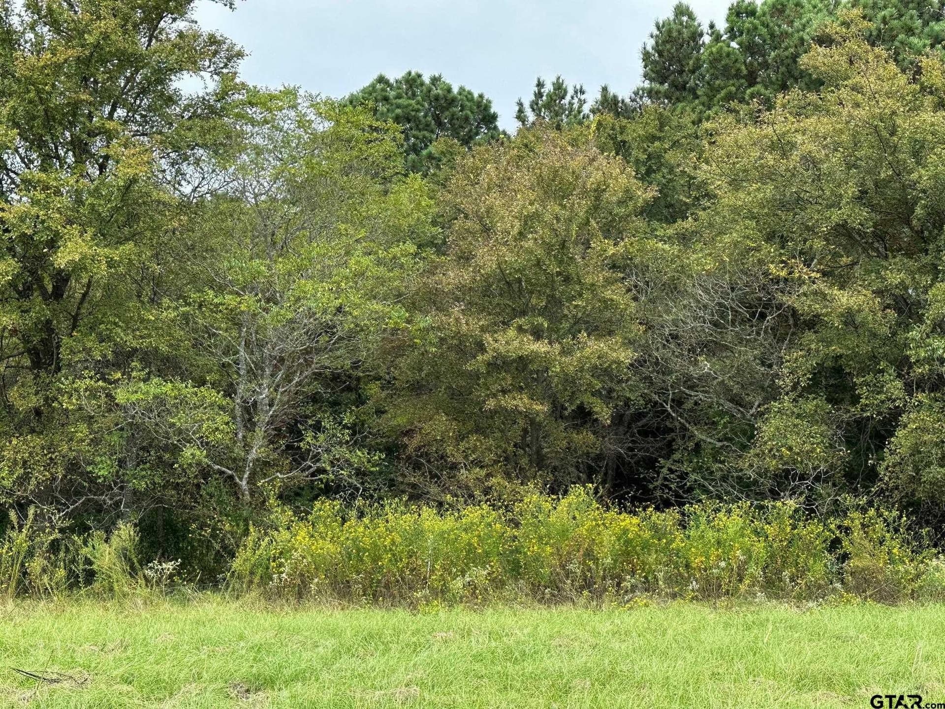 1.74 acres in Smith County - photo 8
