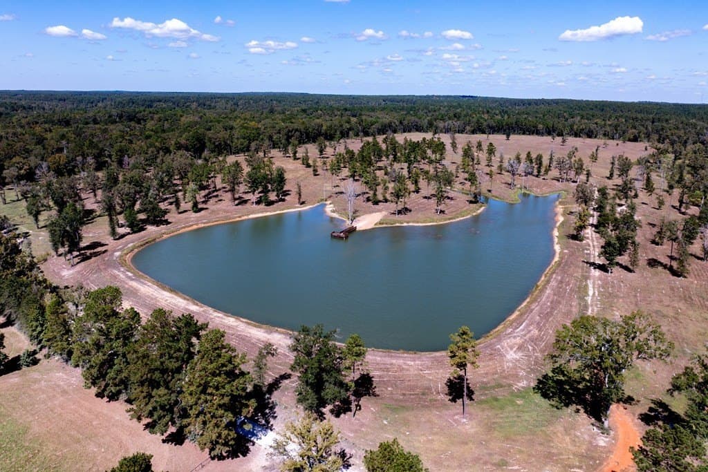 128.38 acres in HOUSTON County gallery image 4