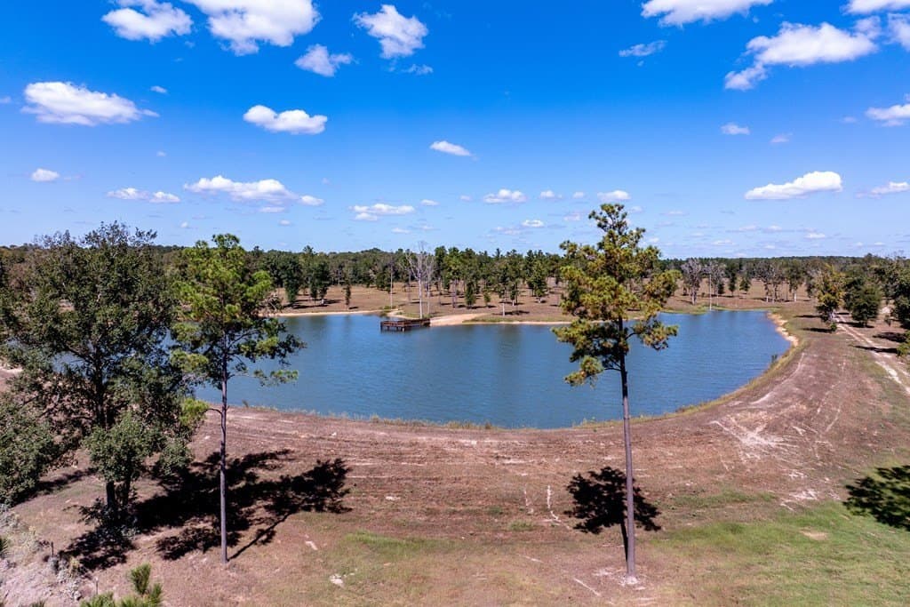 128.38 acres in HOUSTON County gallery image 2