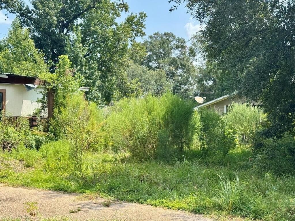 0.34 acres in Texas County - photo 4