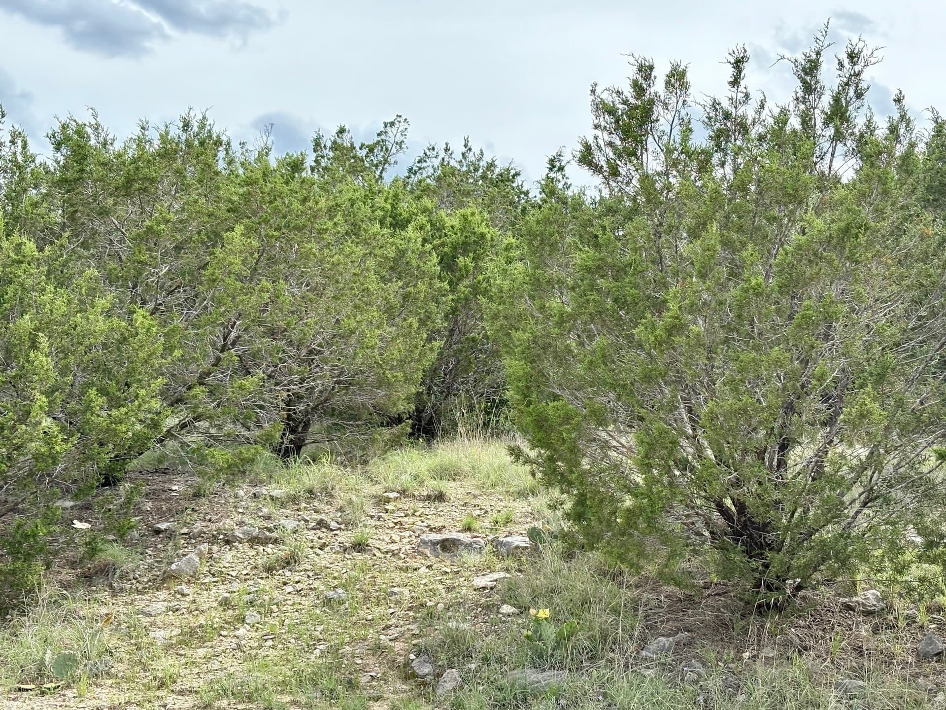 0.34 acres in Palo Pinto County - photo 28