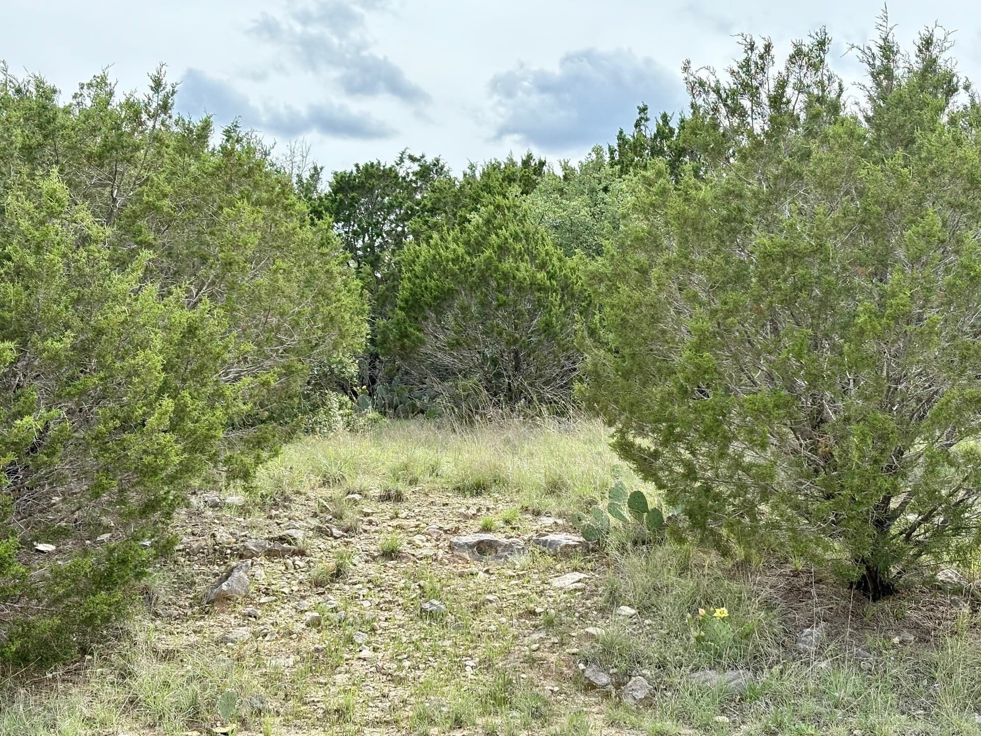 0.34 acres in Palo Pinto County - photo 29
