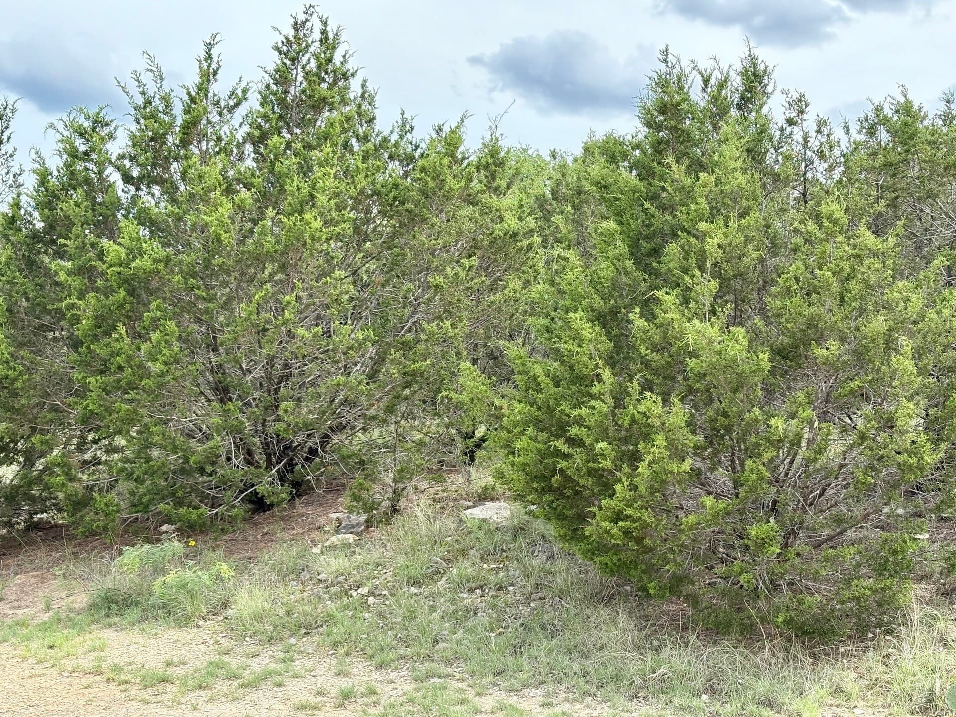 0.34 acres in Palo Pinto County - photo 27