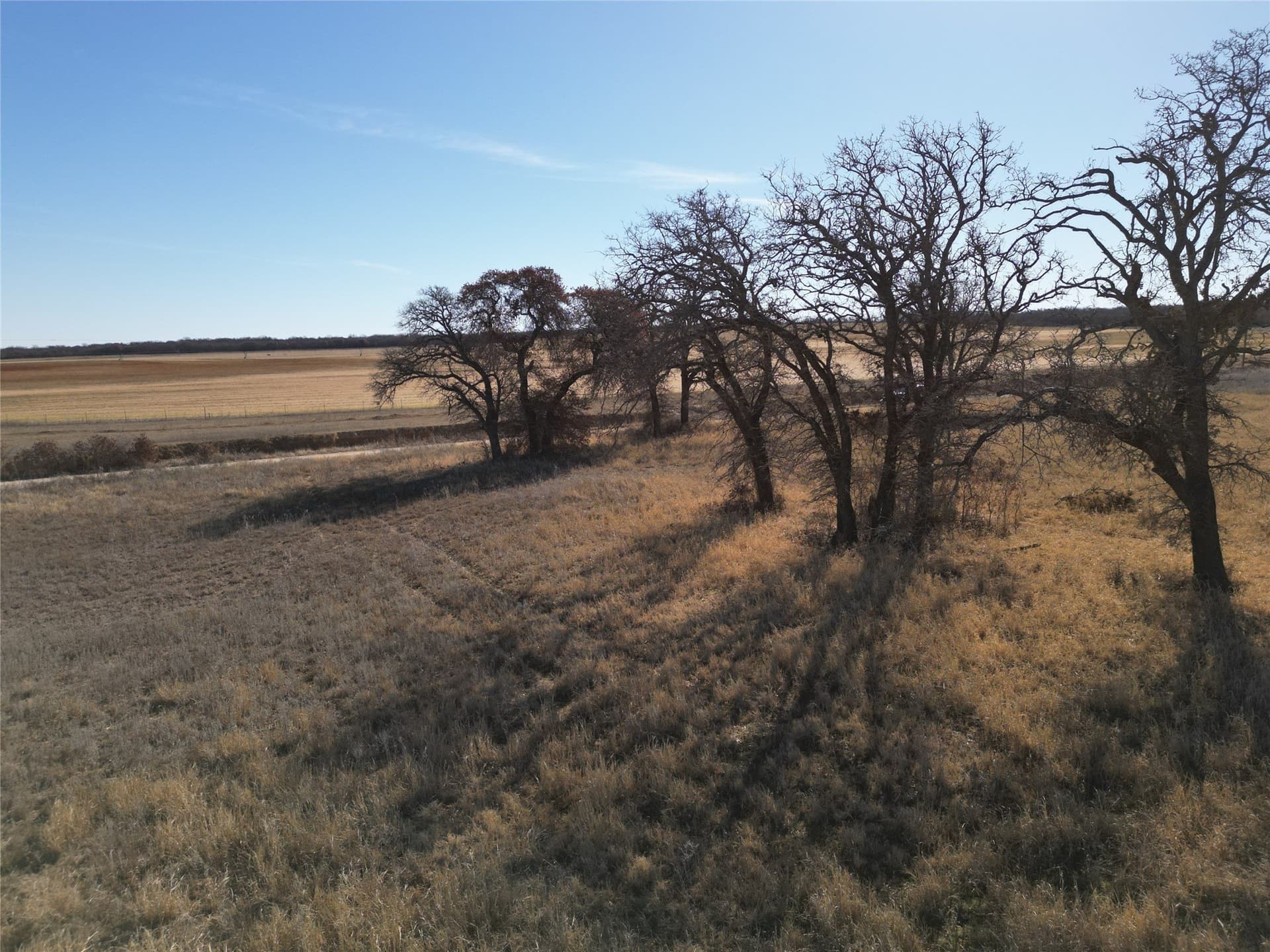 8.35 acres in Eastland County gallery image 3