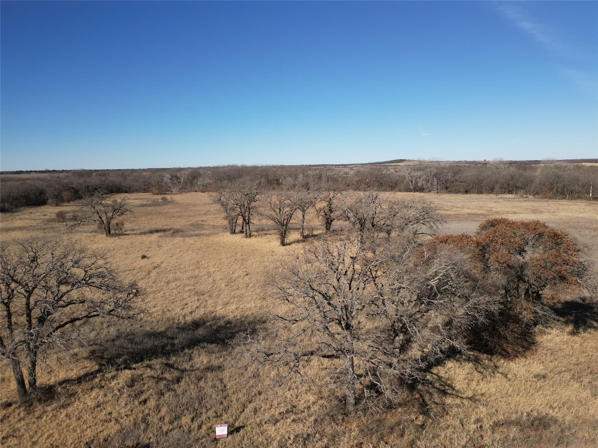 8.35 acres in Eastland County - photo 9