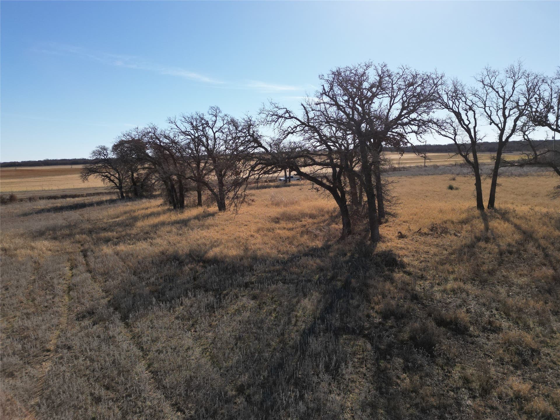 8.35 acres in Eastland County gallery image 2