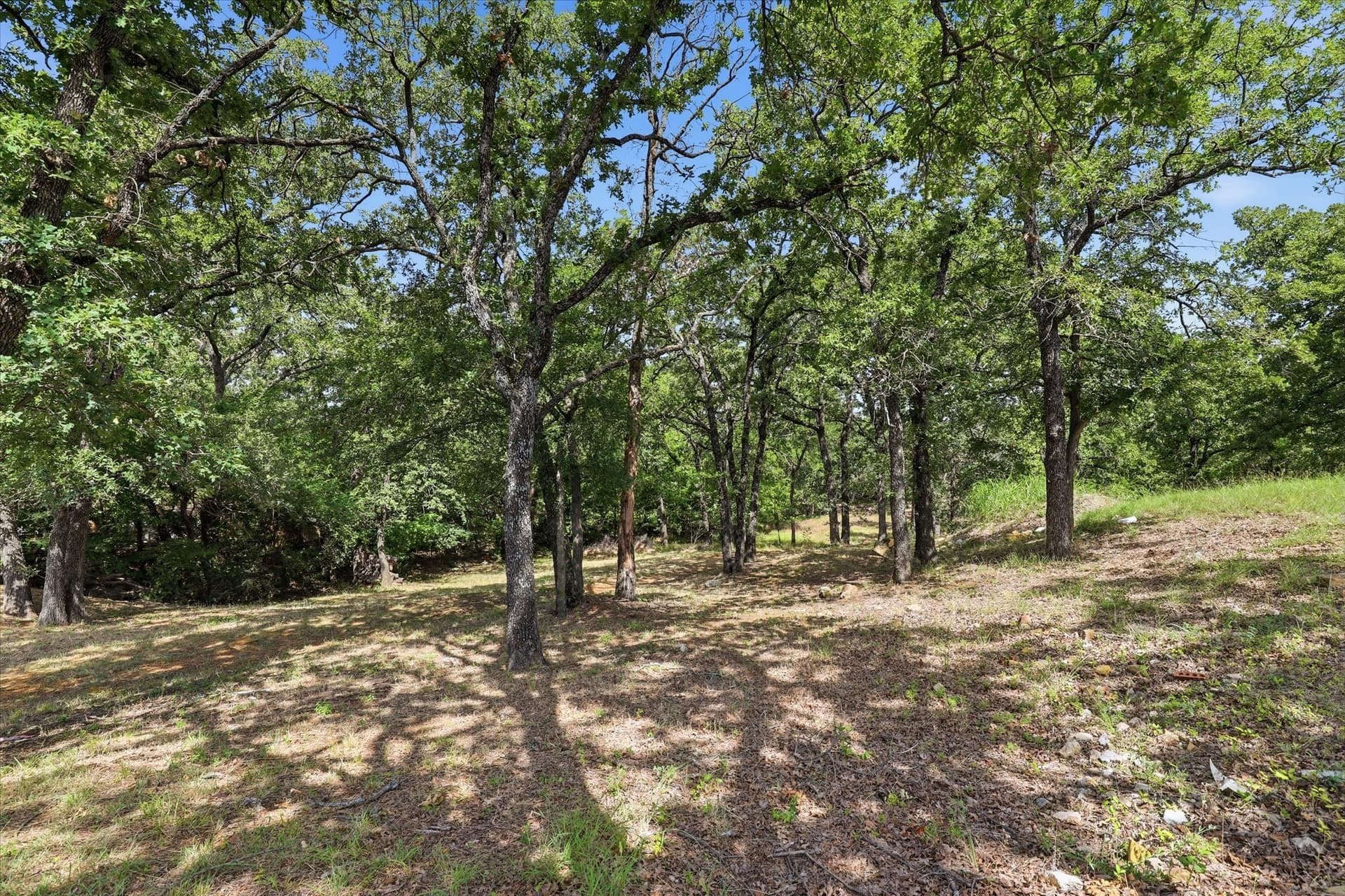 0.48 acres in Denton County - photo 35