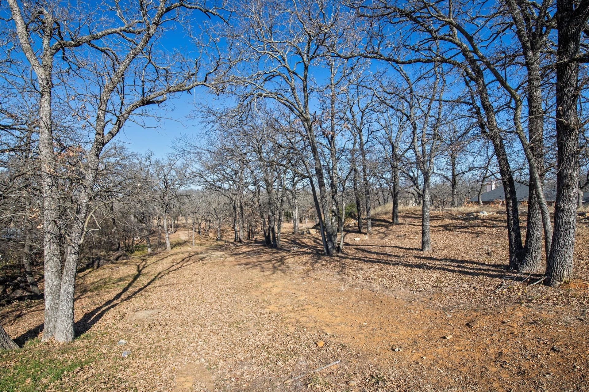 0.48 acres in Denton County - photo 16