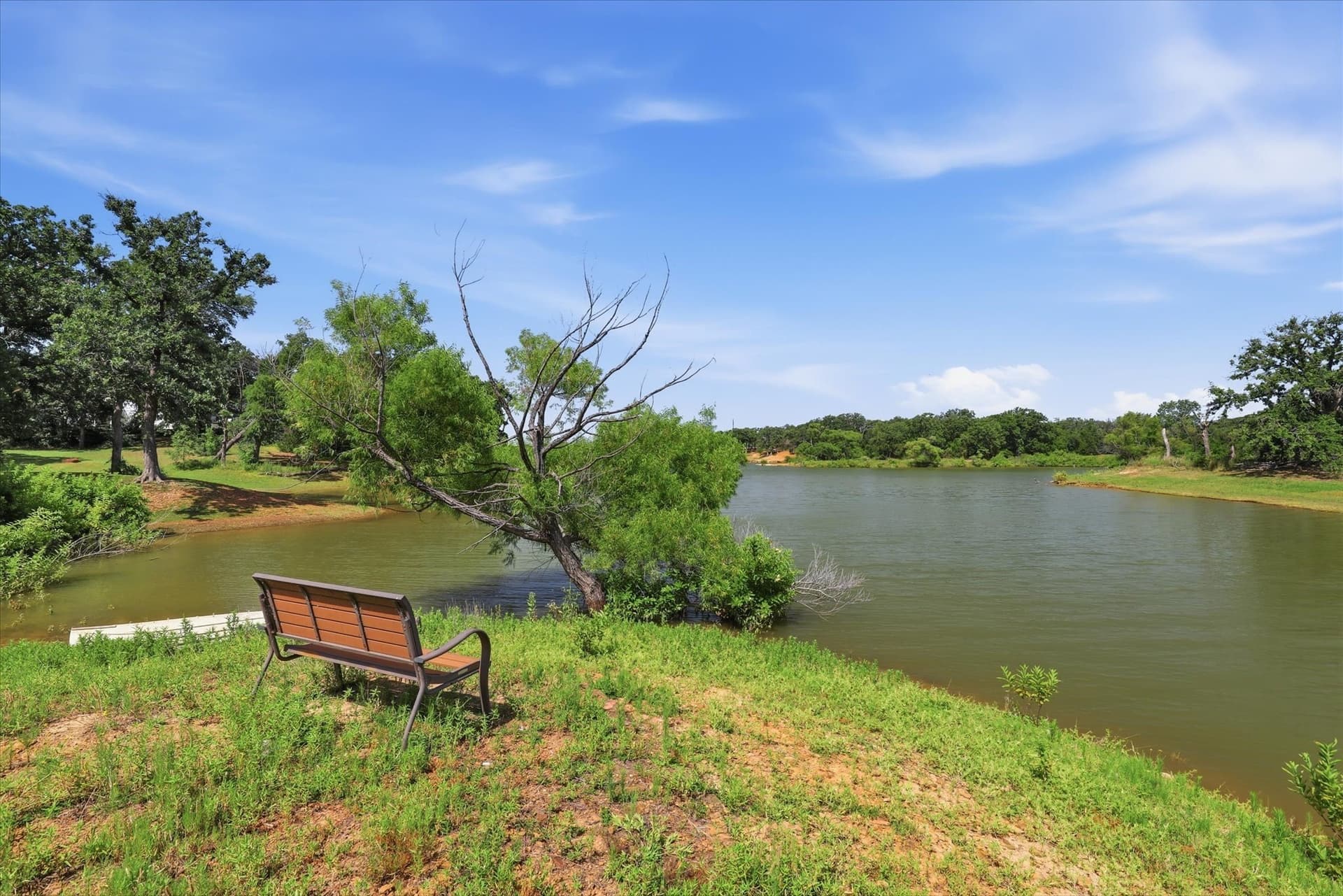 0.48 acres in Denton County - photo 29