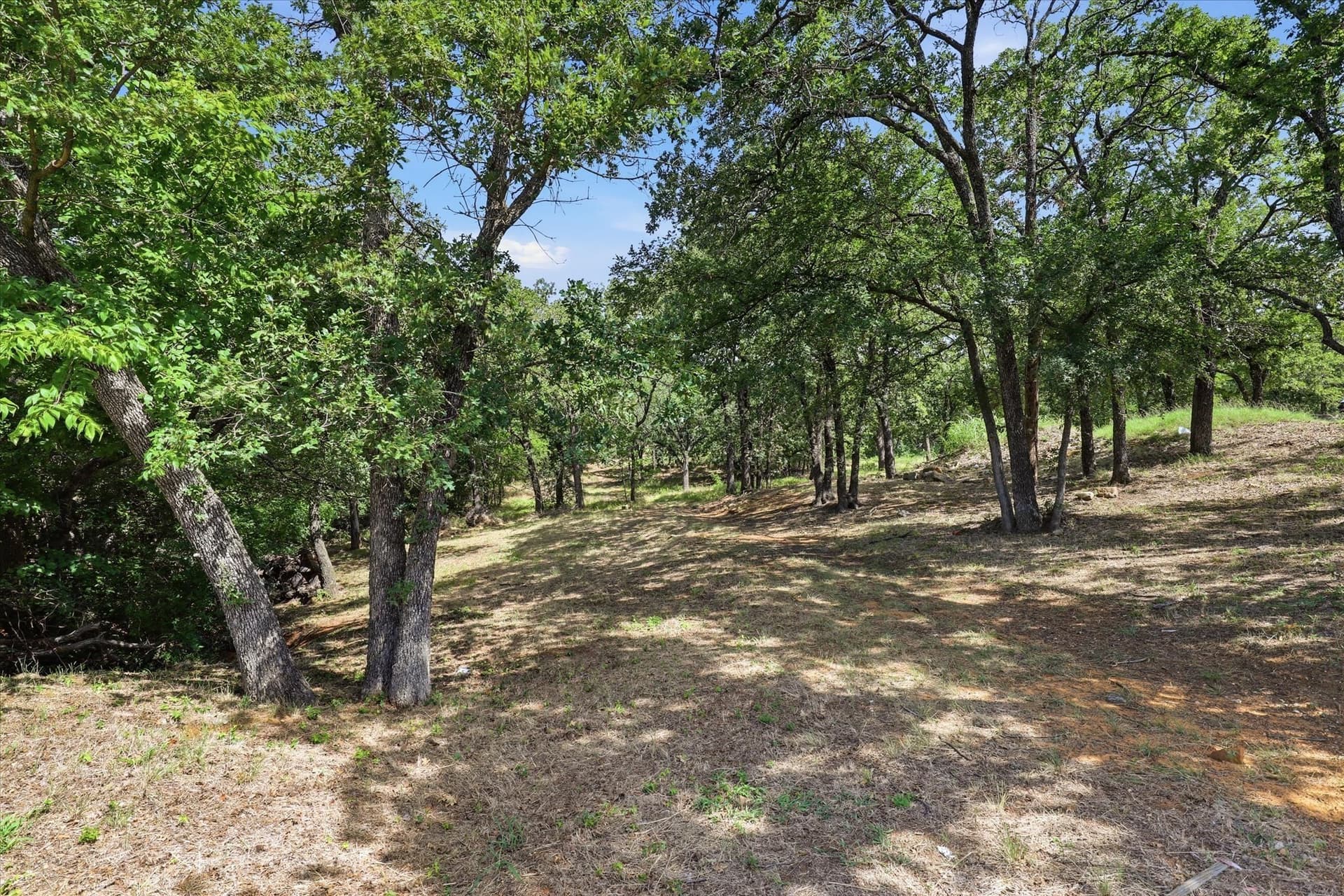 0.48 acres in Denton County - photo 38