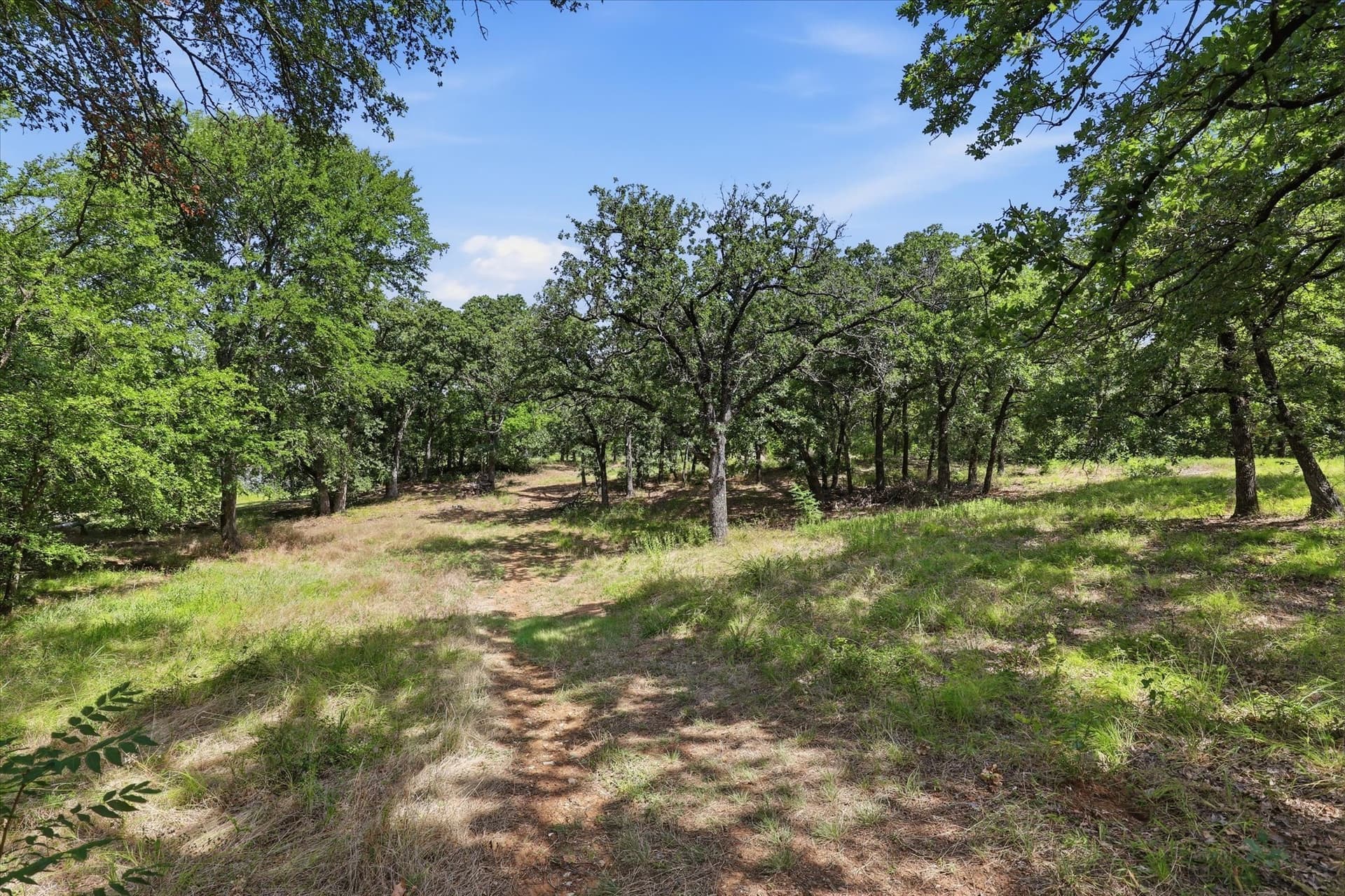 0.48 acres in Denton County - photo 36
