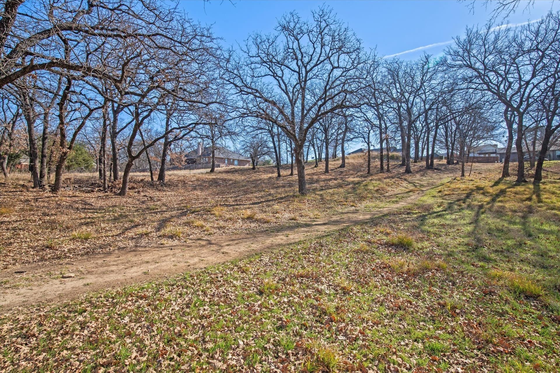 0.48 acres in Denton County - photo 26