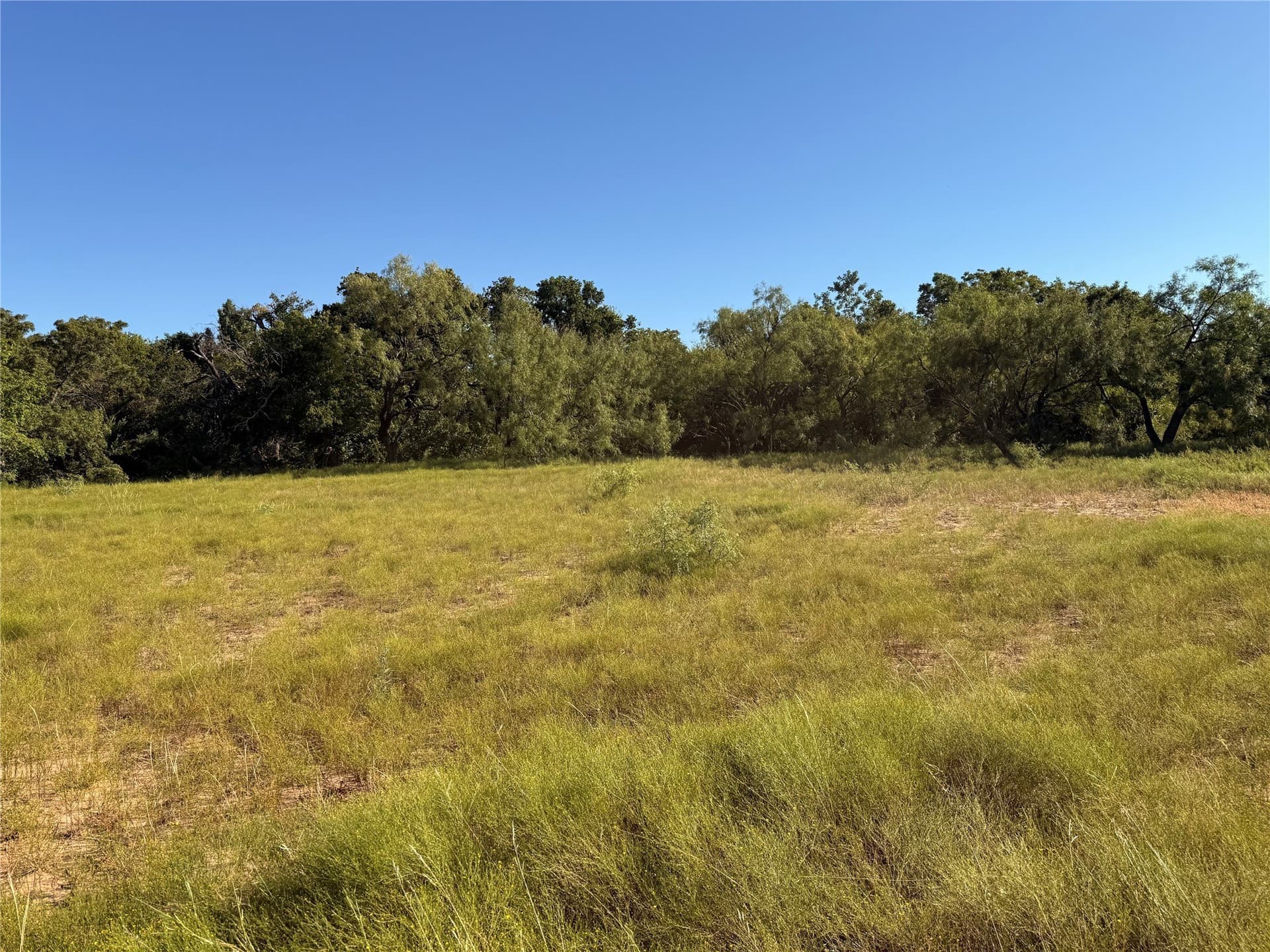 61.52 acres in Runnels County - photo 23