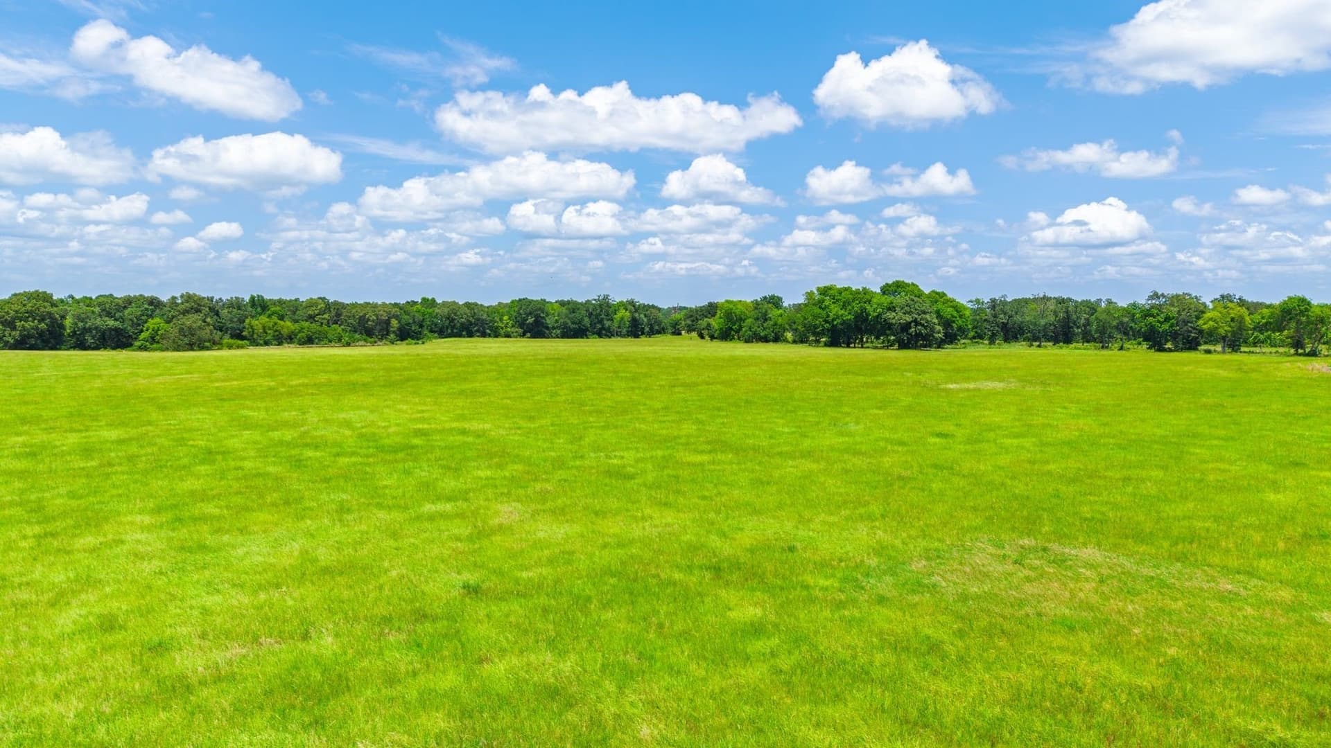 104.78 acres in Wood County - photo 38