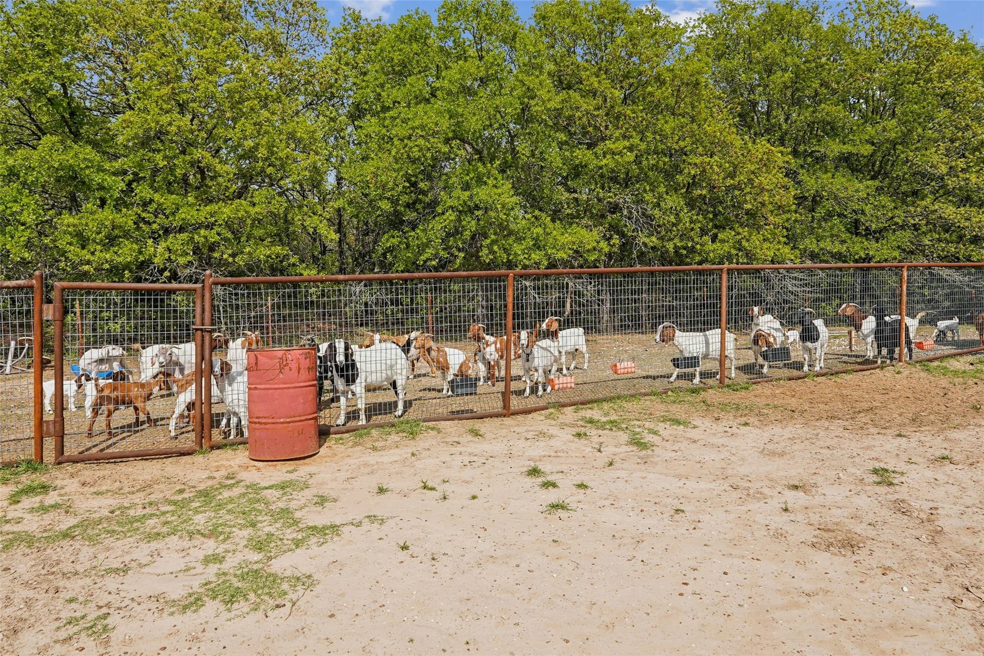 20.21 acres in Montague County - photo 27