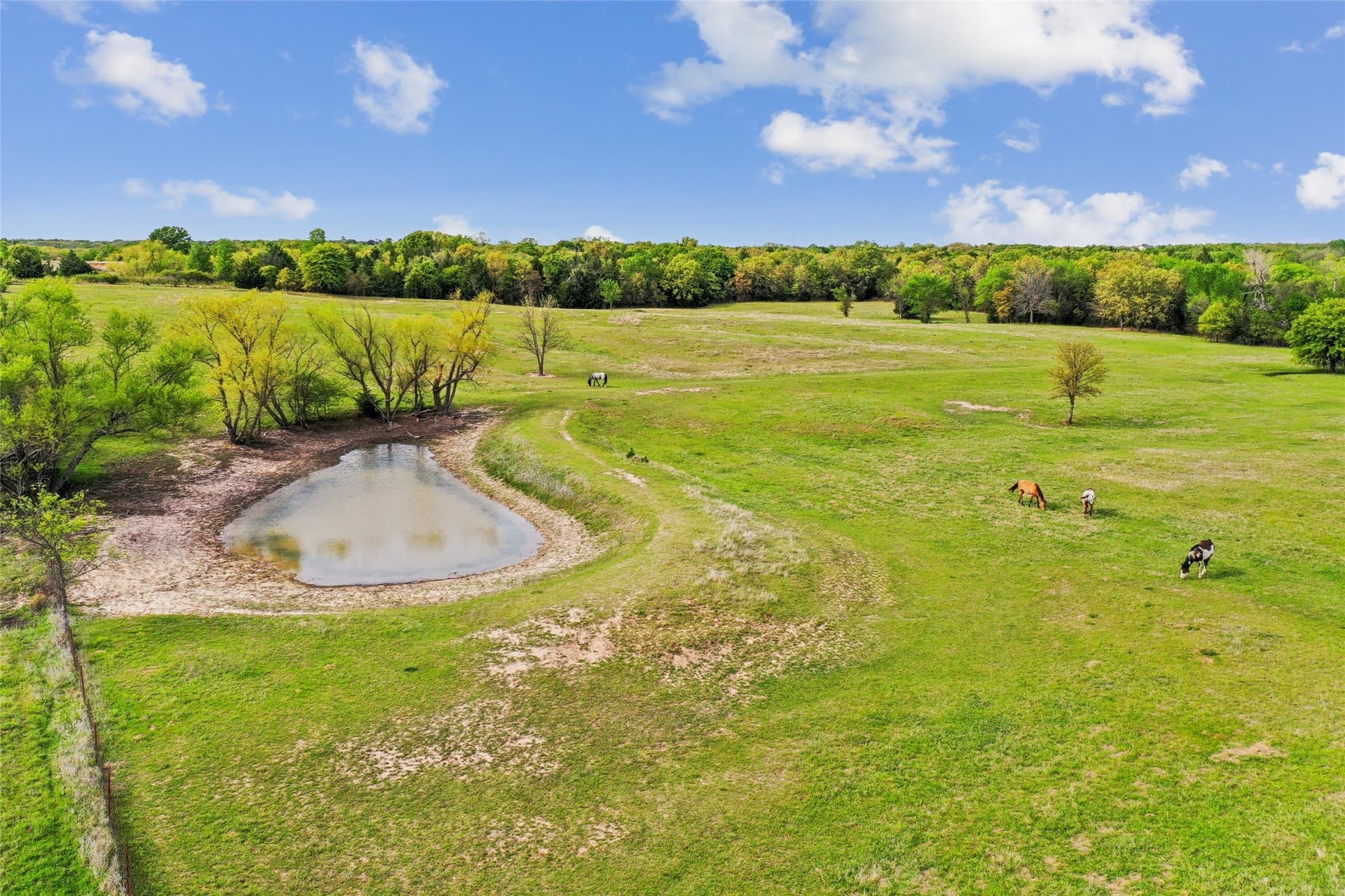 20.21 acres in Montague County - photo 33