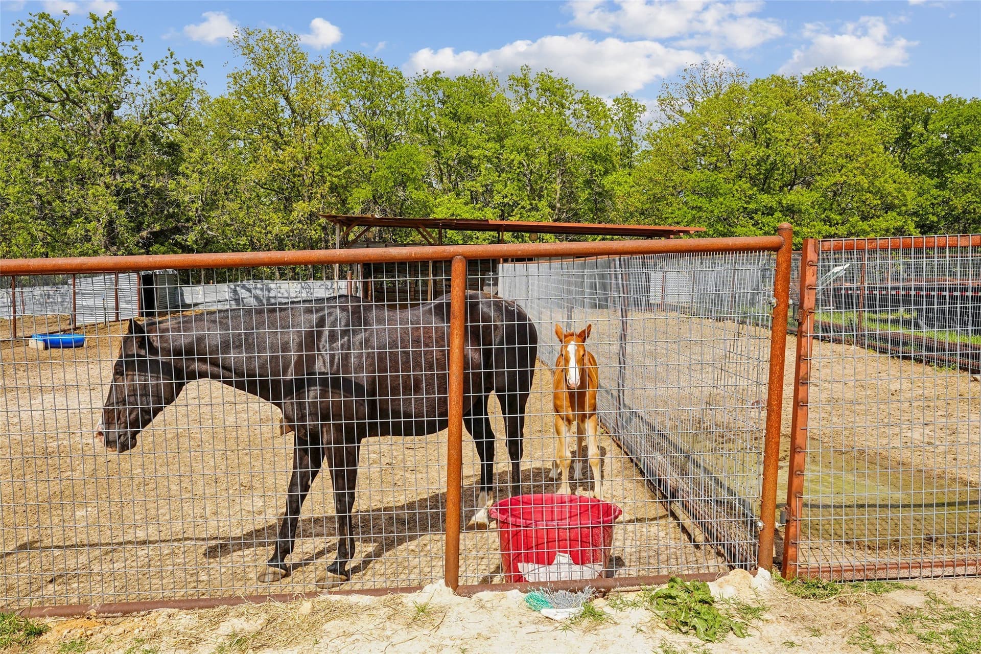 20.21 acres in Montague County - photo 25