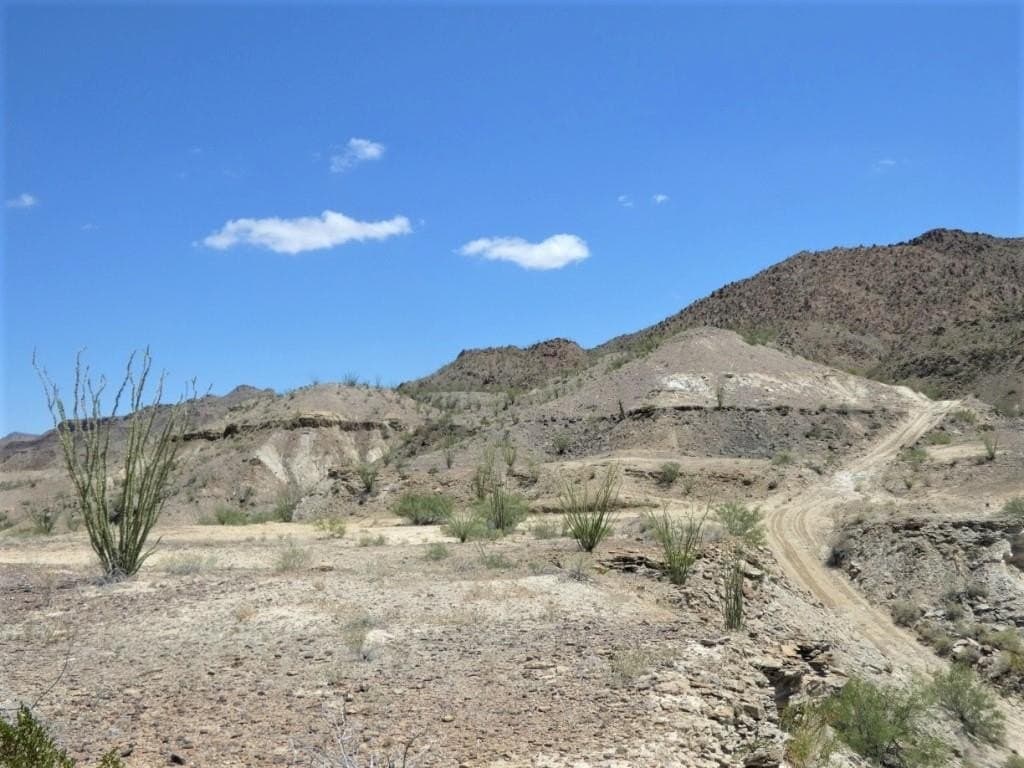 40 acres in Brewster County