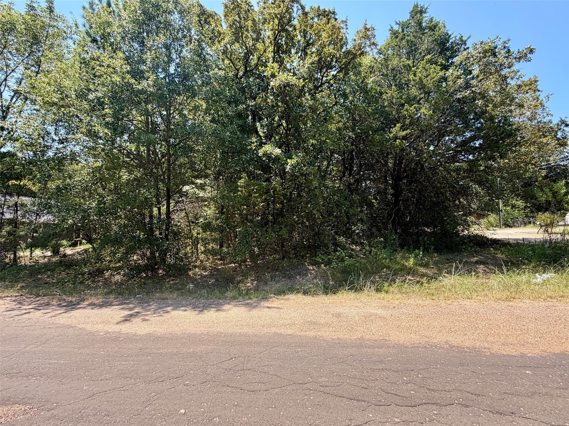 0.12 acres in Henderson County - photo 5