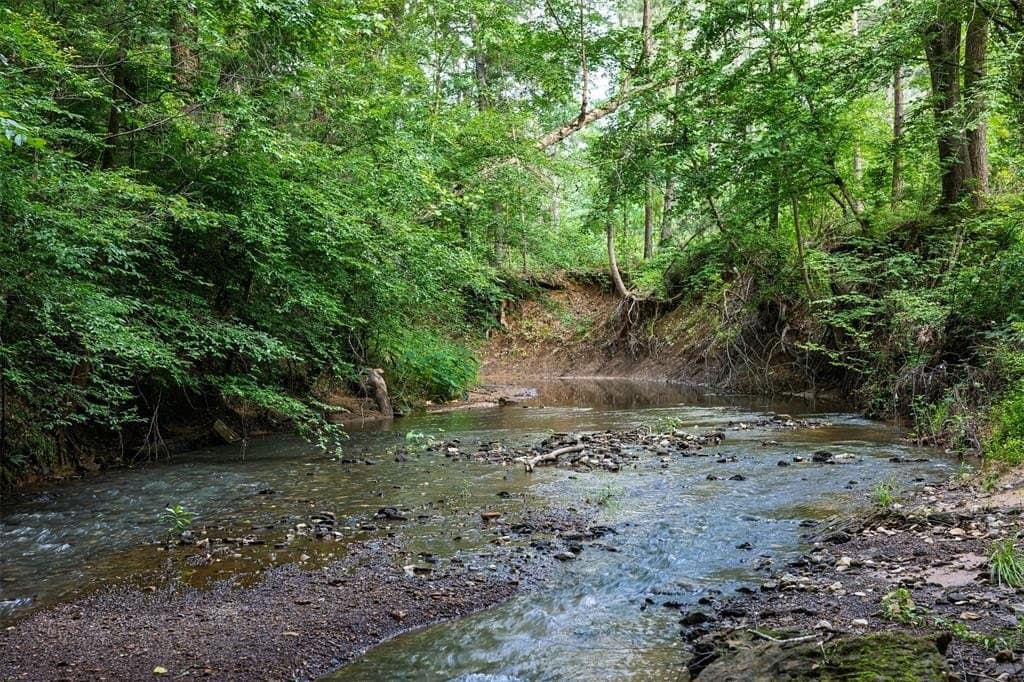71.15 acres in Cherokee County gallery image 4