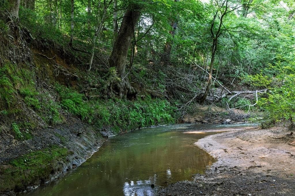 71.15 acres in Cherokee County gallery image 3
