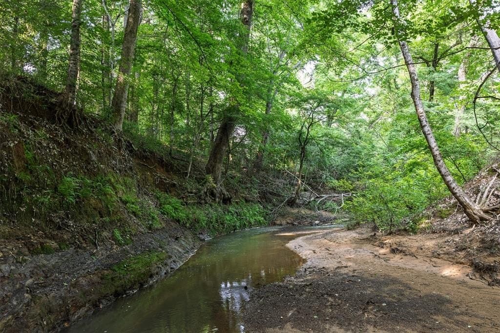 71.15 acres in Cherokee County gallery image 2
