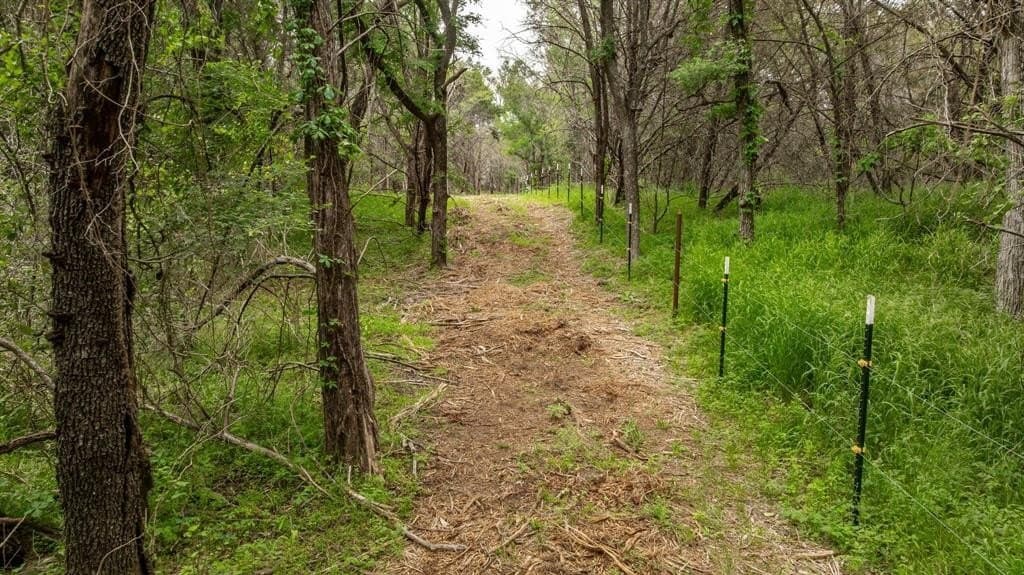 40.04 acres in Erath County featured view