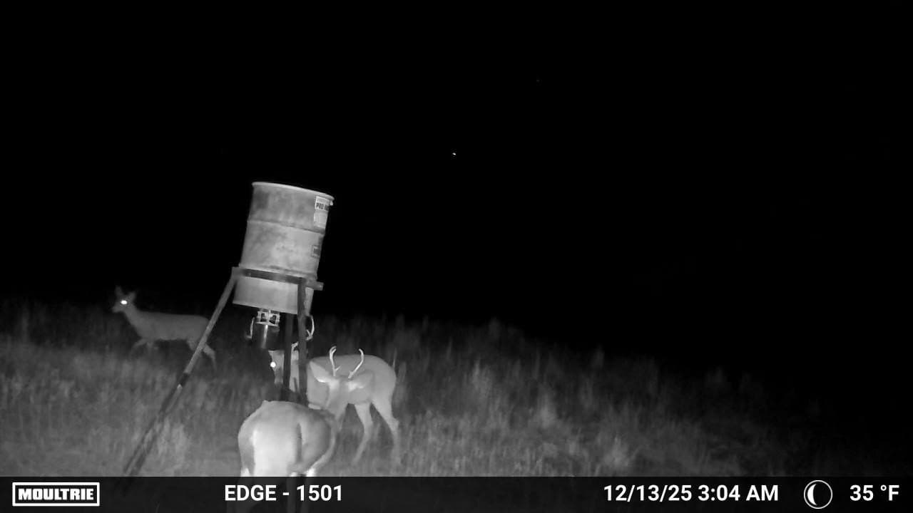 34.45 acres in Eastland County - photo 6