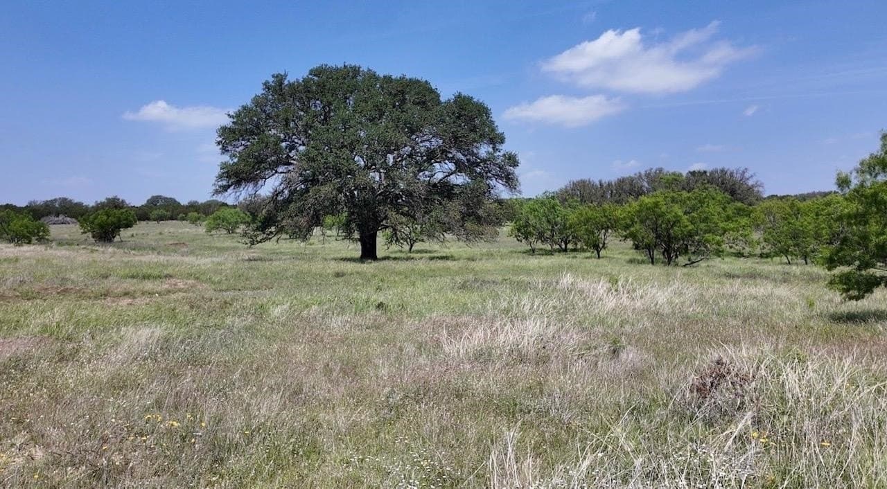 450 acres in McCulloch County - photo 29