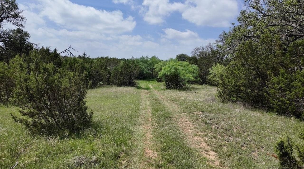 450 acres in McCulloch County - photo 20