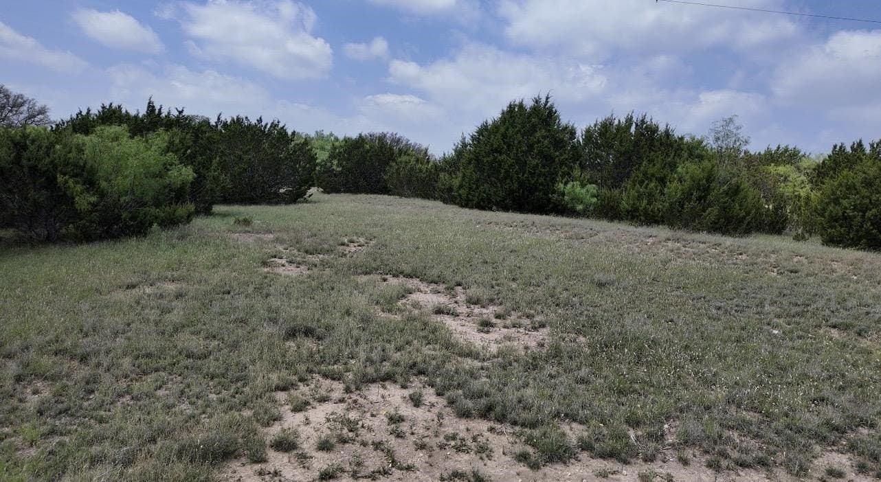 450 acres in McCulloch County - photo 21