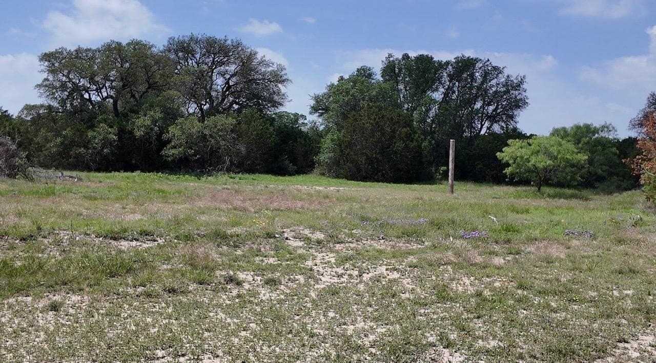 450 acres in McCulloch County - photo 23