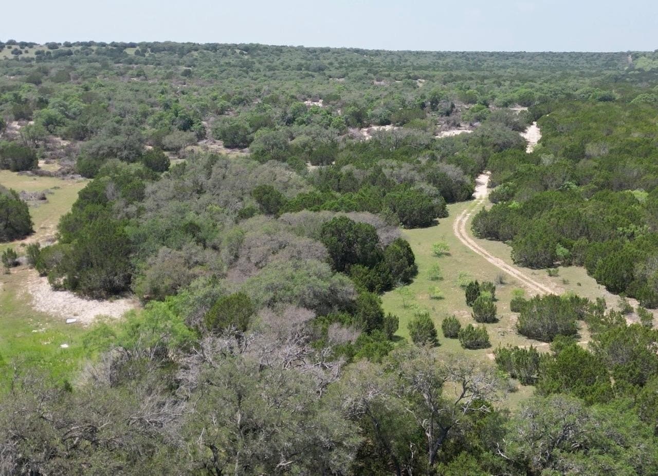 450 acres in McCulloch County gallery image 3