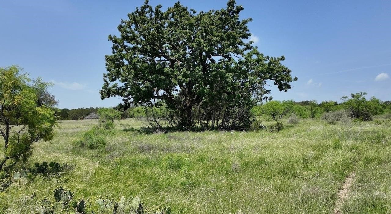 450 acres in McCulloch County - photo 31
