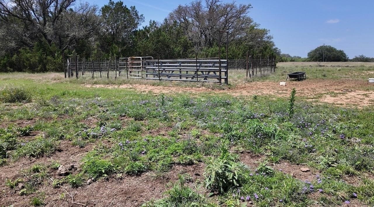 450 acres in McCulloch County - photo 24