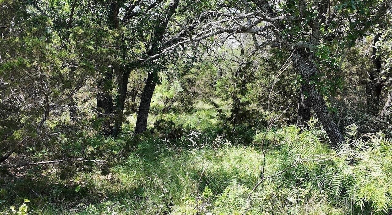 450 acres in McCulloch County - photo 30