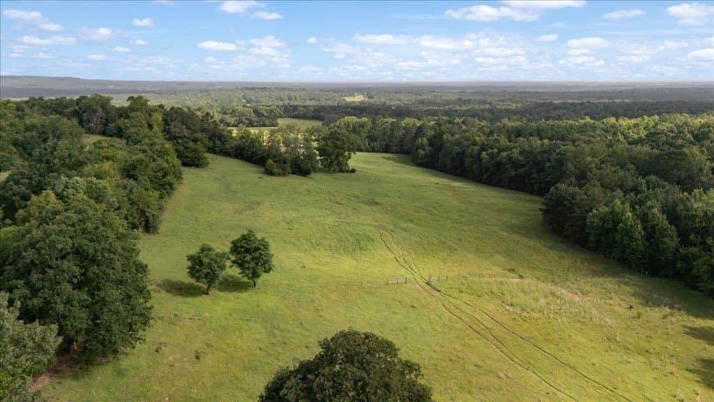 78 acres in Texas County - photo 8