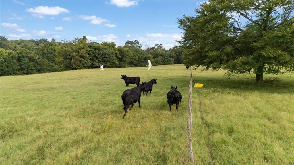 78 acres in Texas County - photo 17